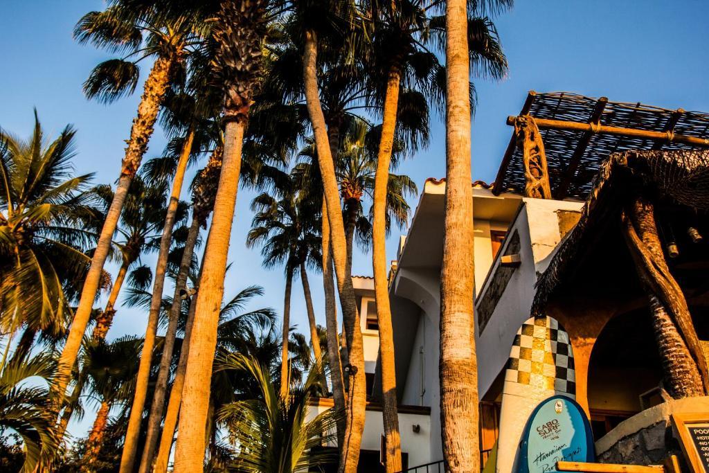Cabo Surf Hotel San José del Cabo エクステリア 写真